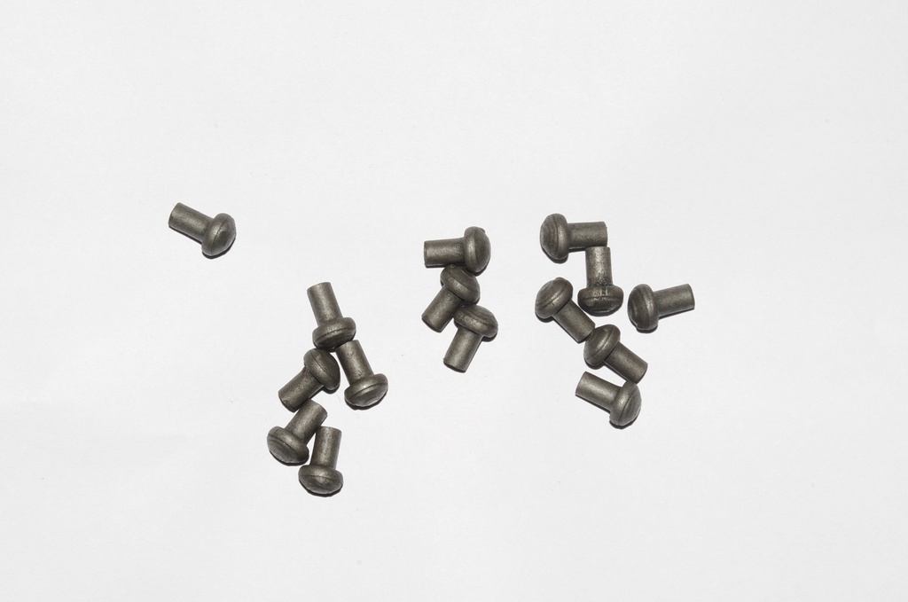 Mushroom Head Steel Rivets