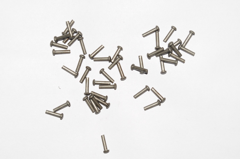 Mushroom Head Steel Rivets