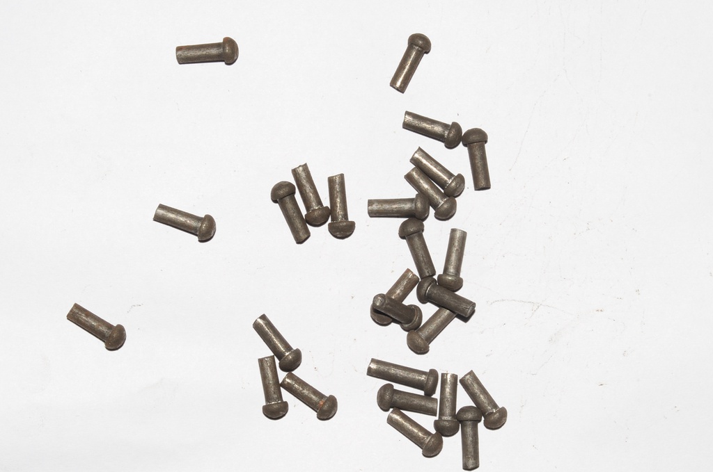 Mushroom Head Steel Rivets