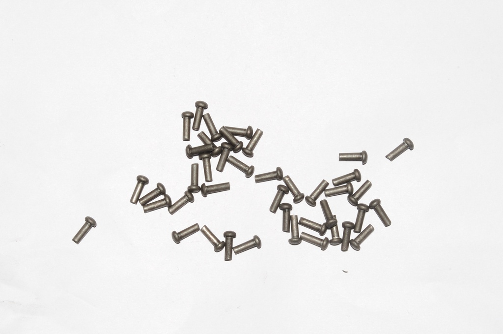 Mushroom Head Steel Rivets