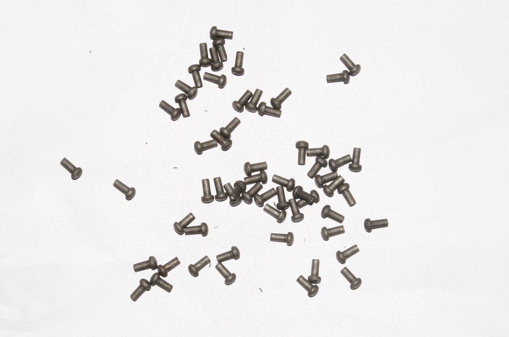 Mushroom Head Steel Rivets