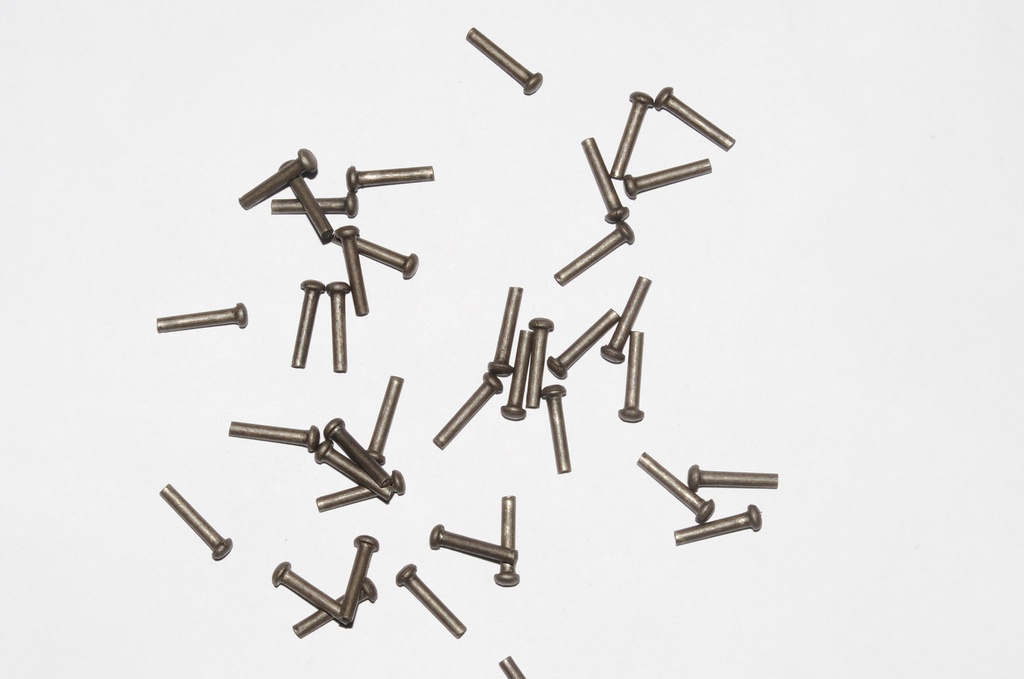 Mushroom Head Steel Rivets