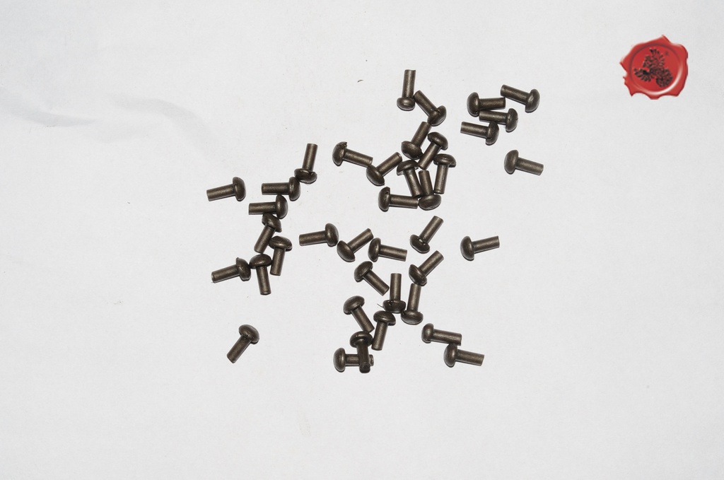 Mushroom Head Steel Rivets