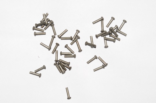 [GDFB/RI/005-S] Mushroom Head Steel Rivets