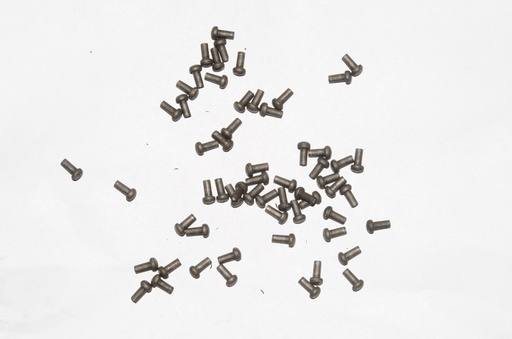 [GDFB/RI/009-S] Mushroom Head Steel Rivets