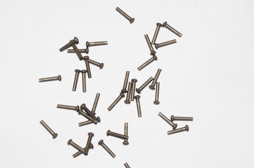 [GDFB/RI/010-S] Mushroom Head Steel Rivets