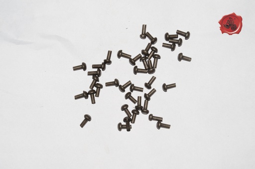 [GDFB/RI/012-S] Mushroom Head Steel Rivets