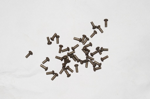 [GDFB/RI/013-S] Mushroom Head Steel Rivets