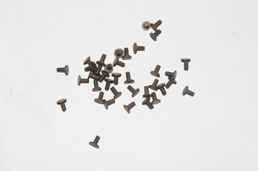 [GDFB/RI/017-S] Flat head steel rivets